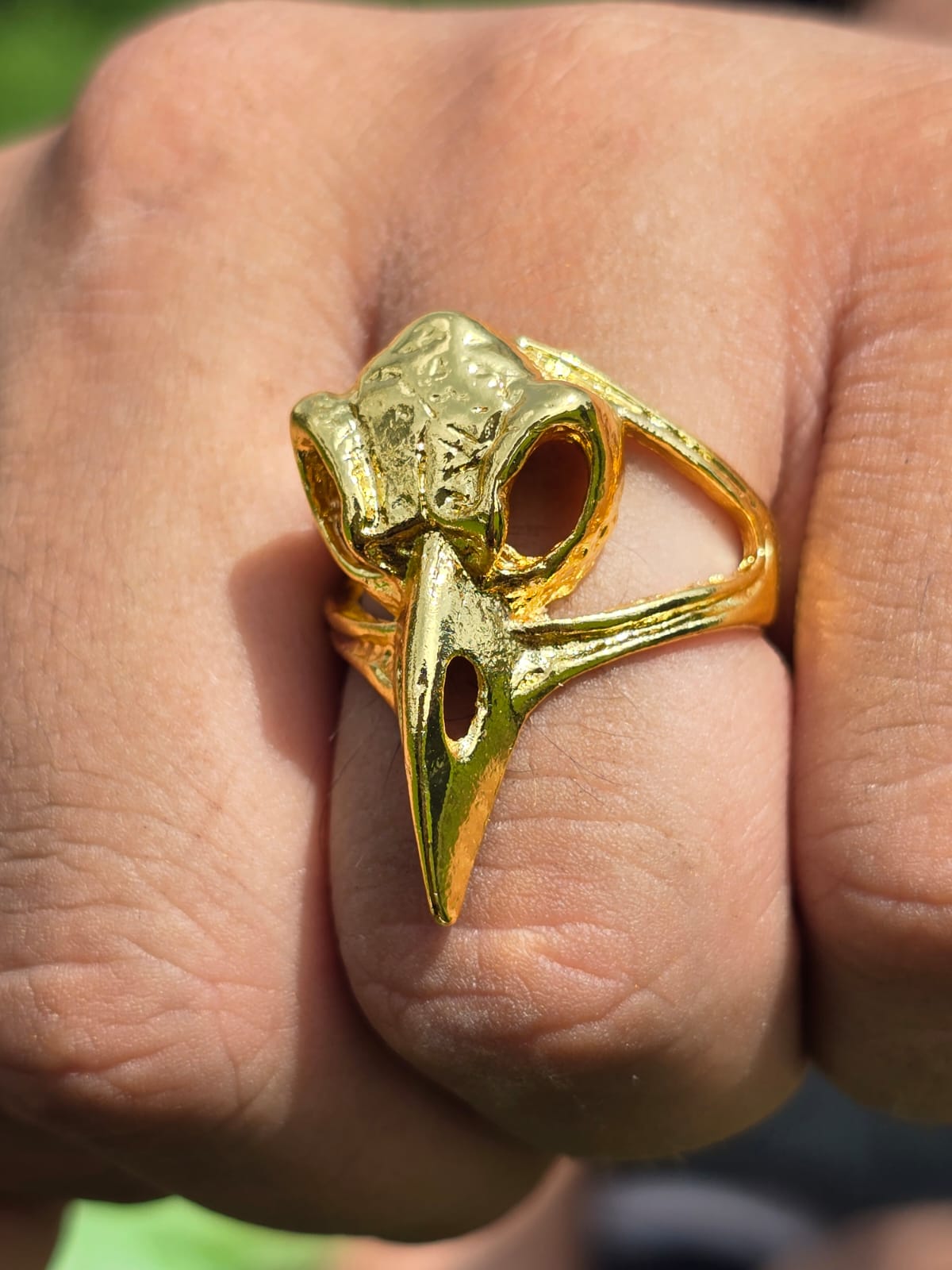 ANILLO CRANEO CUERVO