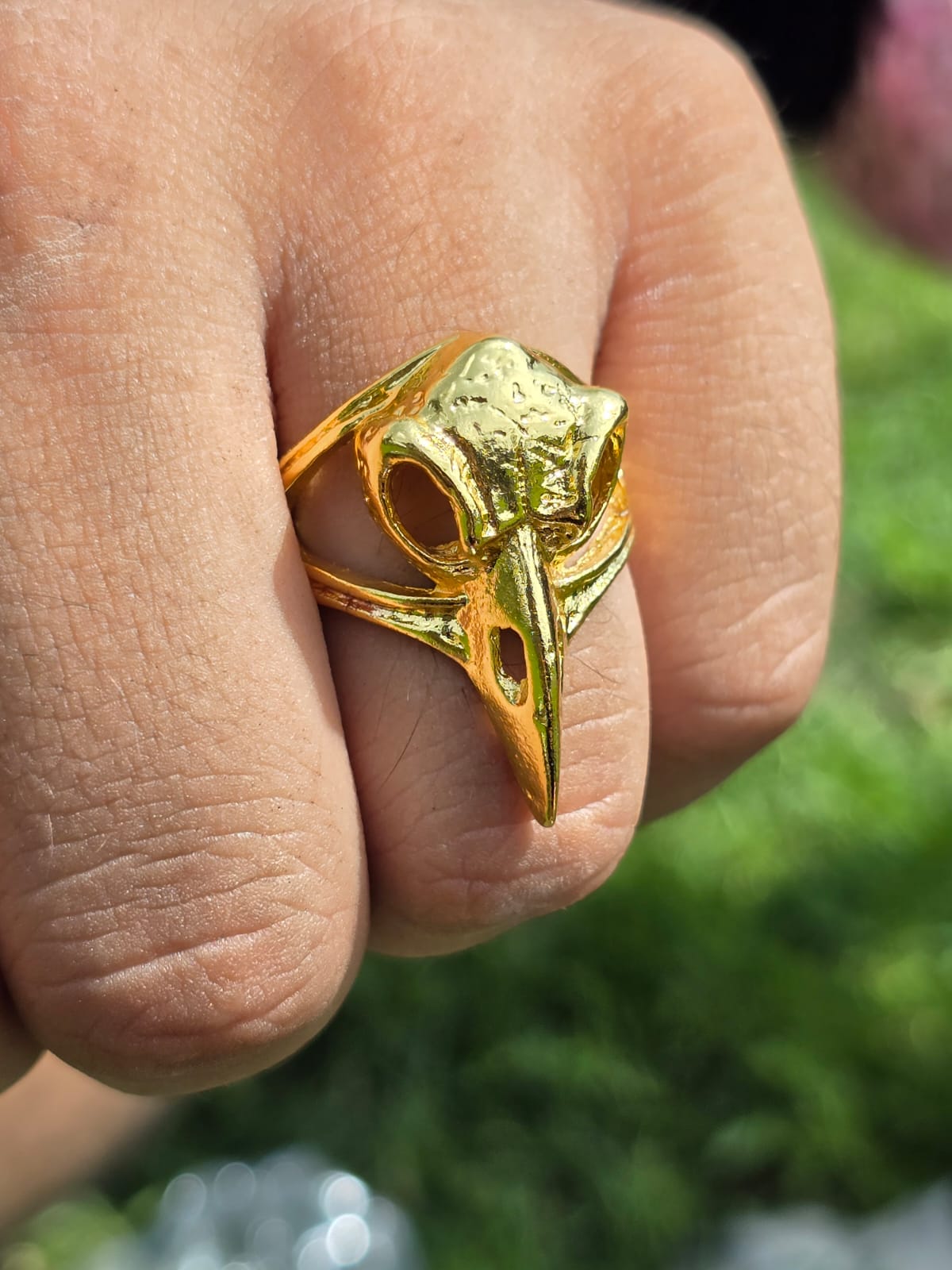 ANILLO CRANEO CUERVO